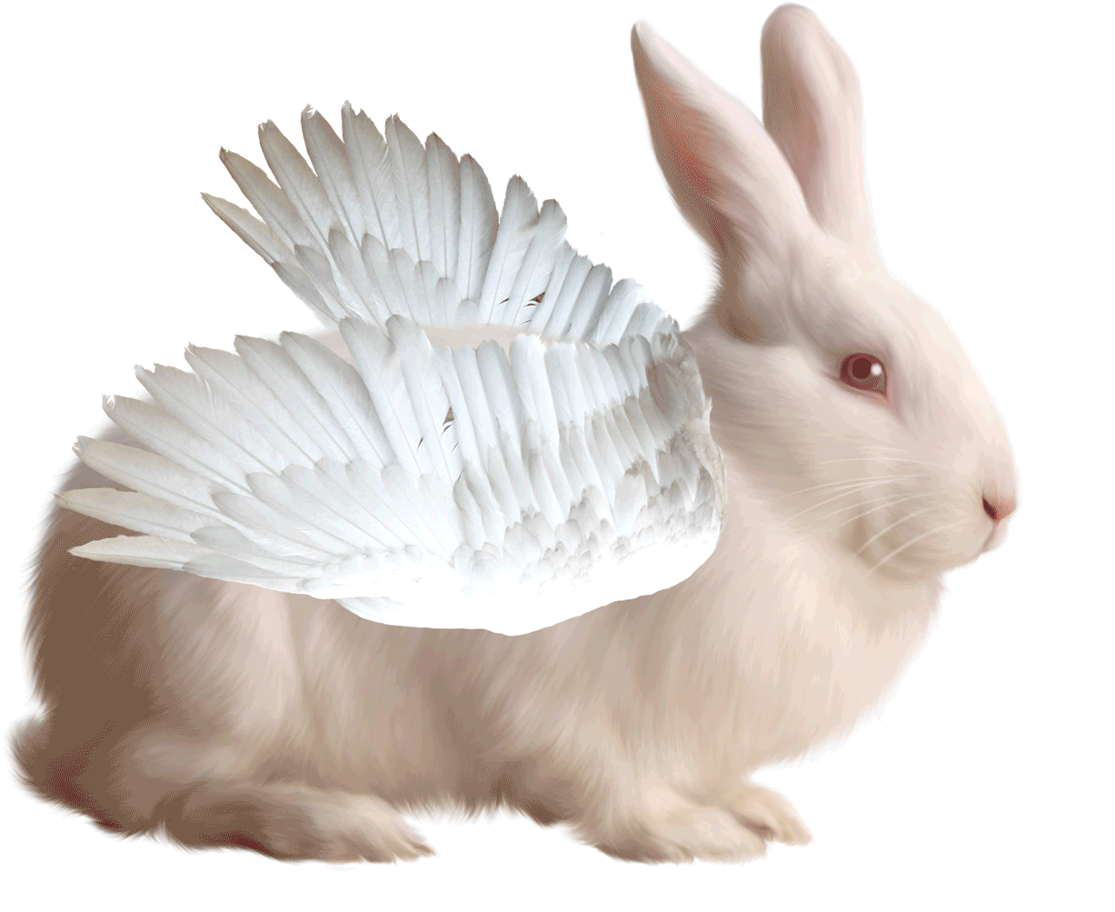 angel